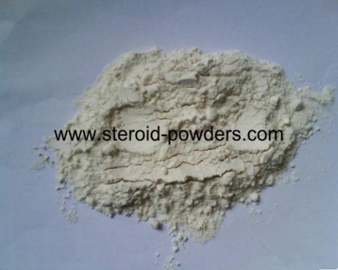 High Quality Kidney Bean Extract