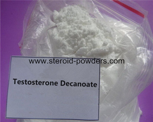 Testosterone Decanoate