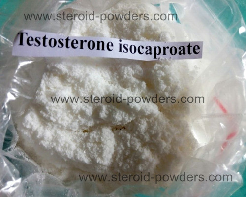Testosterone isocaproate