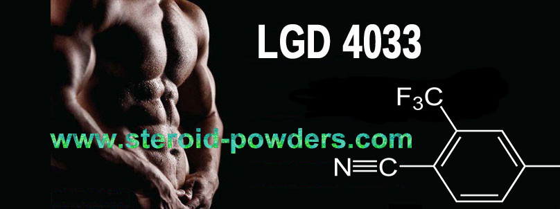LGD40331