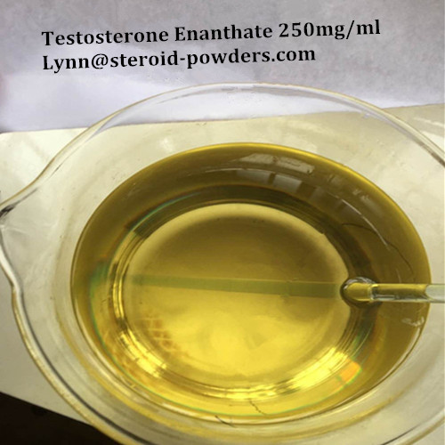 Testosterone Enanthate 250_