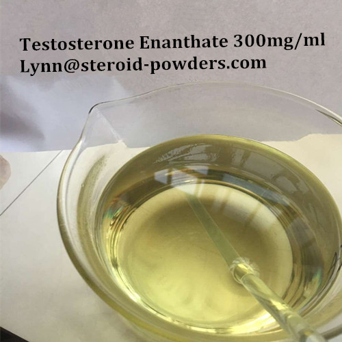 Testosterone Enanthate 300mg 1_