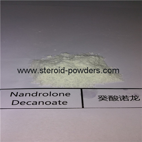 Nandrolone Decanoate