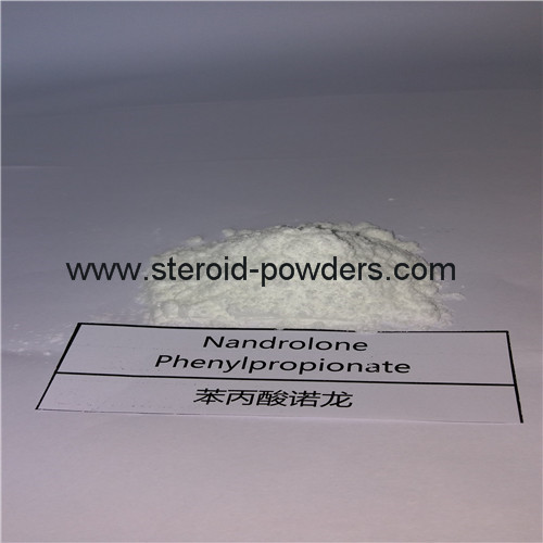 Nandrolone Phenylpropionate