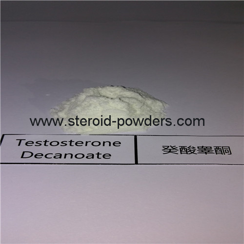 Testosterone Decanoate