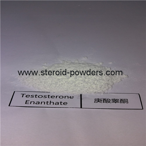 Testosterone Enanthate