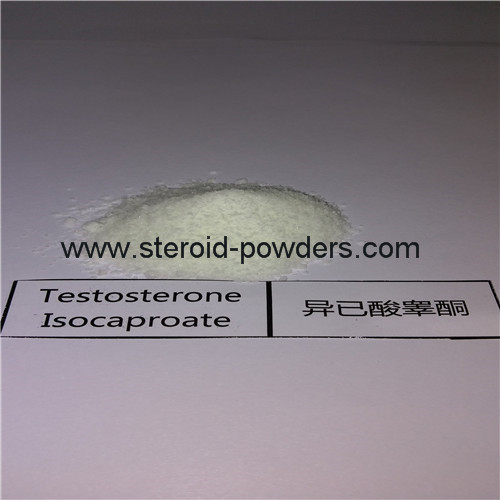 Testosterone Isocaproate