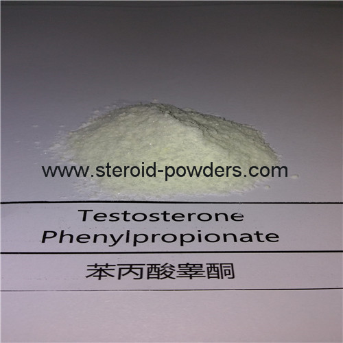 Testosterone Phenylpropionate