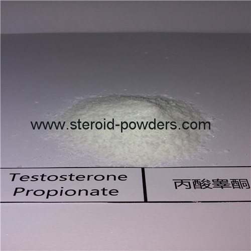 Testosterone Propionate