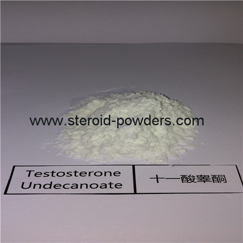 Testosterone Undecanoate