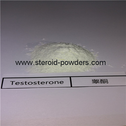 Testosterone