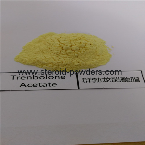 Trenbolone Acetate Powder