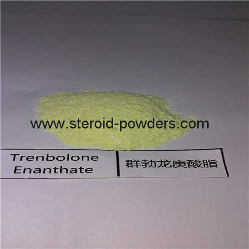 Trenbolone Enanthate